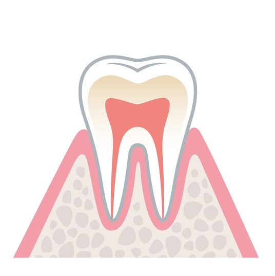 健康な歯茎